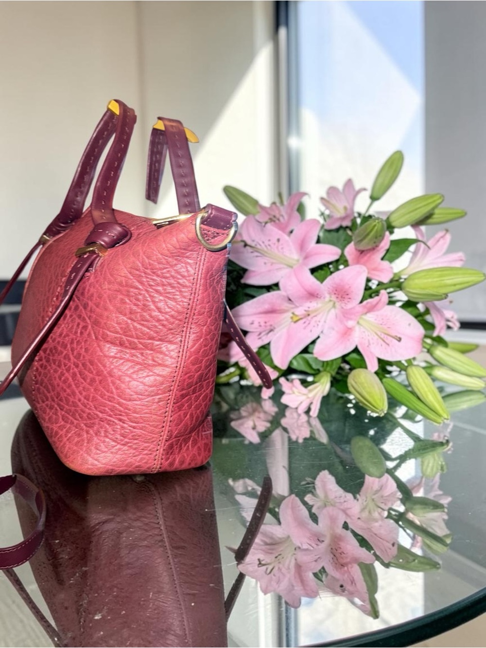 Ted Baker Olmia in OxBlood Crossbod Tote- Like New - Picture 7 of 13